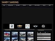 Sandy Sansing BMW Website